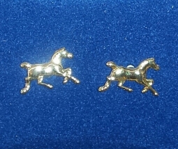 Horse Lover Earrings