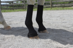 Equifit Horsesox Pack