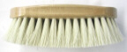 Champion Soft Ivory Poly Brush