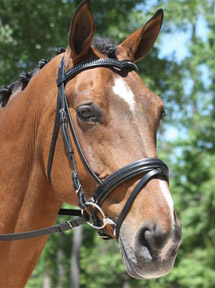 KL Select Pirouette Weymouth Dressage Bridle