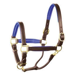 Perri's Color Leather Padded Halter