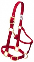 Halters and Leads